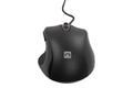 Natec Mouse Pigeon 2 4000 DPI 1.8m, black