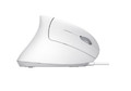 Trust Optical Wired Mouse Verto Ergo, white