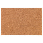 TRAMPA Door mat, natural, 40x60 cm