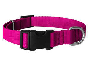 CHABA Dog Collar Adjustable Smooth 10mm/33cm, fuchsia