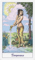 Cartamundi Cosmic Tarot Cards 18+