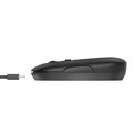 Trust Optical Wireless Mouse, black