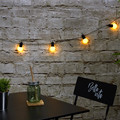 Outdoor LED Light Garland 20 LED, white