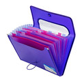 Document Folder with 12 Pockets A4 25mm, purple