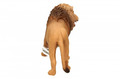 Schleich Lion 3+