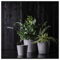 SKOGSVINBÄR Plant pot, in/outdoor grey, 9 cm