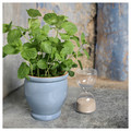 TRUMPETBUSKE Plant pot, in/outdoor blue, 12 cm