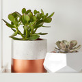 Plant Pot Concrete GoodHome 12 cm, copper