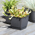 Plant Pot Ratolla Square 19 cm, anthracite