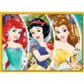 Trefl Children's Puzzle Happy Day of Clubs 4in1 4+