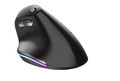 Trust Optical Wireless Mouse Ergonomic, black