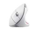 Trust Optical Wireless Mouse Verto Ergo, white