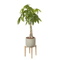 Plant Pot Concrete Round GoodHome 24 cm