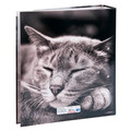 Lever Arch File A4/7cm, Cats