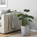 BOYSENBÄR Plant pot, in/outdoor light grey, 24 cm