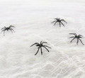 Spider's Web Halloween Decoration 80g