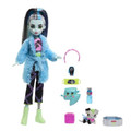 Monster High Doll And Sleepover Accessories, Frankie Stein HKY68 4+