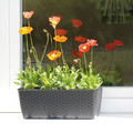 Plant Pot Ratolla 40 cm, anthracite