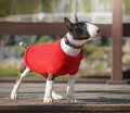 Zolux Dog Sweater Legend T30 30cm, red