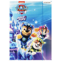 Folder with Elastic Band A4 Paw Patrol 10-pack, assorted patterns