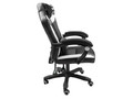 Natec Gaming Chair Fury Avenger M+