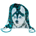 School Set 3in1 Husky - Backpack, Shoe Bag, Pencil Case + Lunch Box & Water Bottle