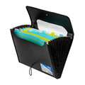 Document Folder with Dividers A4 25mm 12 Pockets, black