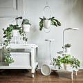 CHILISTRÅN Hanging planter, in/outdoor white, 12 cm