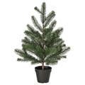 VINTERFINT Artificial potted plant, in/outdoor/Christmas tree green, 12 cm