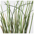 FEJKA Artificial potted plant, grass, 17 cm