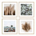 Picture Set Dried Plants & Succulents 30 x 30 cm 4-pack