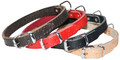 Dingo Leather Dog Collar 2.5x65cm, red