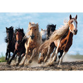 Trefl Jigsaw Puzzles Horses 1000pcs 12+