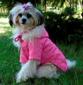 Grande Finale Quilted Dog Coat with Hood Size 4, pink