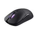 Trust Optical Wireless Gaming Mouse GXT 980 Redex