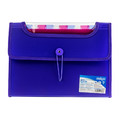 Document Folder with 12 Pockets A4 25mm, purple