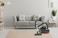 Gorenje Vacuum Cleaner VCEA22GPLBKC