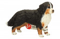 Schleich Bernese Mountain Dog 3+