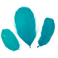 Decorative Feathers 16g, light turquoise