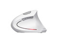 Trust Optical Wireless Mouse Verto Ergo, white