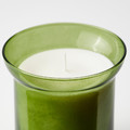 HEDERSAM Scented candle in glass, Fresh grass/light green, 50 hr