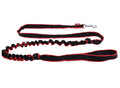 Champion Bungee Dog Leash 2.5