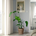 FLODBJÖRK Plant pot, in/outdoor light grey-brown, 24 cm