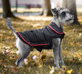 Zolux Dog Raincoat Cosmo T45 45cm, red