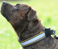 Dingo Adjustable Reflective Dog Collar 4.5x37-43cm