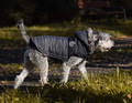 Zolux Quilted Dog Coat Winter Jacket Mountain 30cm, grey