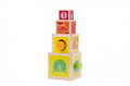 iWood Wooden Shape Sorter Cubes 12m+