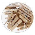 Wooden Clips 3.5cm 24pcs