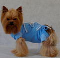 Grande Finale Postoperative Shirt for Dogs Size 1 / 22cm, blue