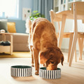 UTSÅDD Pet bowl, stripe pattern black-blue/grey-green, 19 cm